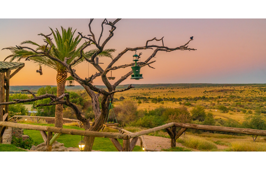 Wüstenzauber und „Big Five“ in Namibia.