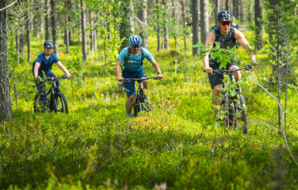 Sommer in Lappland: Sport, Kultur – und neue Direktflüge