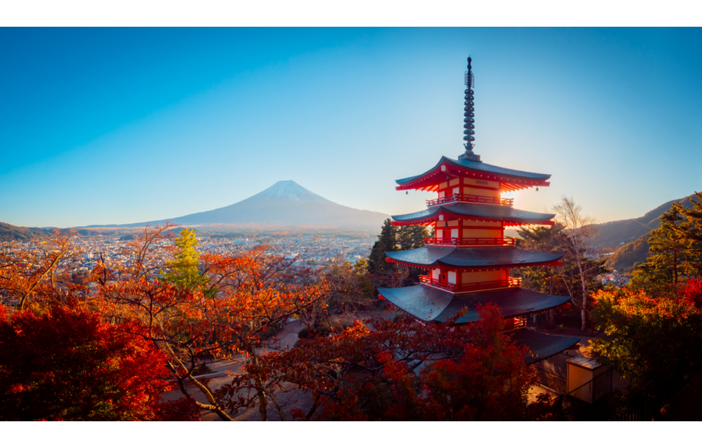 Asien-Kreuzfahrten mit Holland America Line: Eine Entdeckungsreise durch glitzernde Skylines und stille Tempel