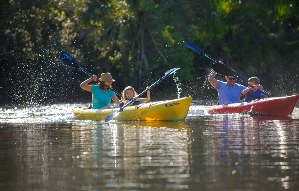 Aktivurlaub in Sarasota County: Natur trifft Kulinarik