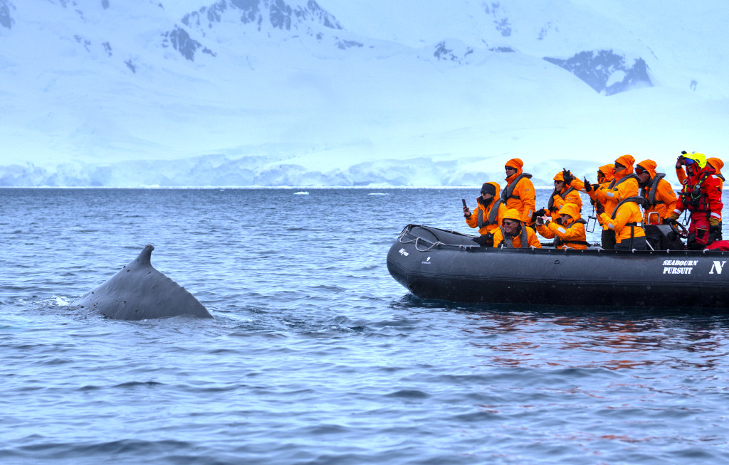 Seabourn präsentiert die Expeditionsreisen 2028/29