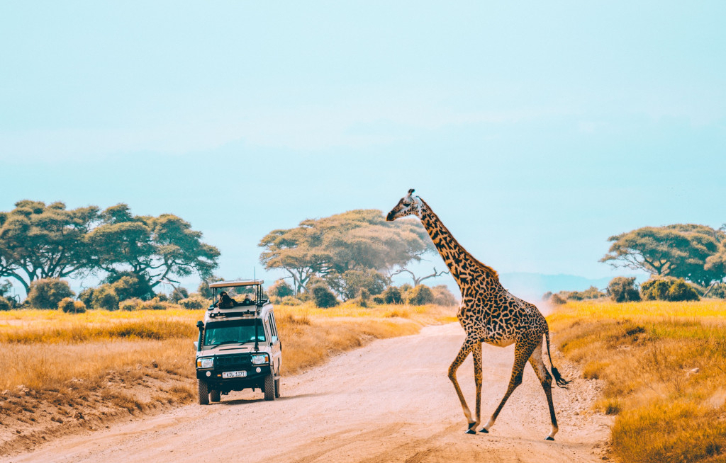 Kenia investiert massiv in touristische Infrastruktur
