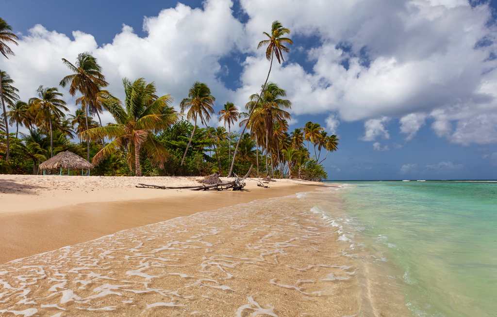 Boomerang Reisen mit Tobago im Programm