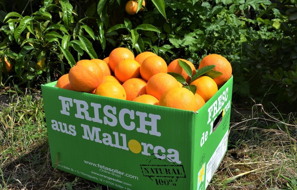 Vitamin C für die Reisebüros