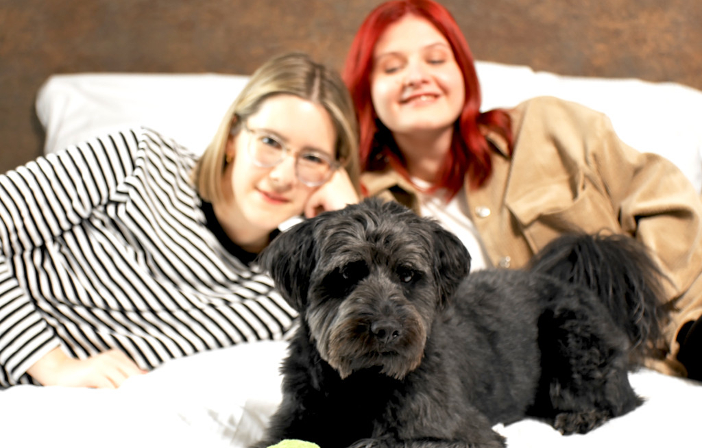 Meininger Hotels geben Tipps für Städtereisen mit Hund