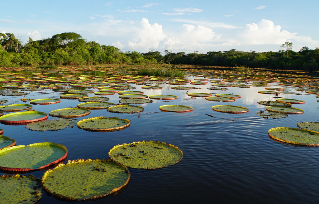 Guyana erneut als Top-Eco-Destination ausgezeichnet