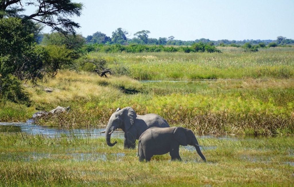 Neue Foto-Rundreise in Namibia