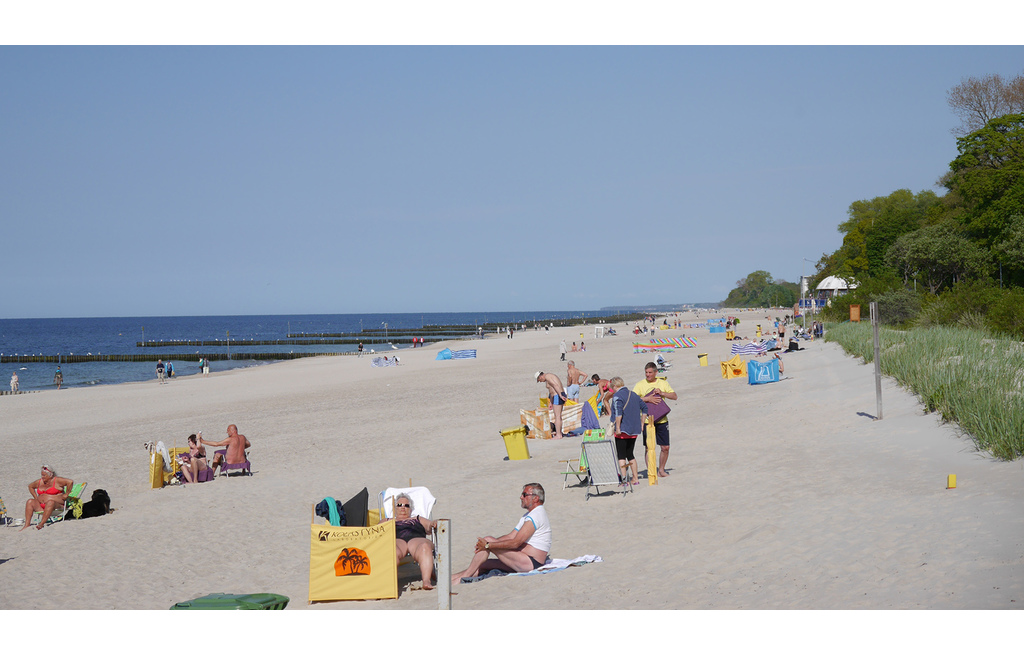 Großteil der polnischen Ostseeküste ohne Algenpest