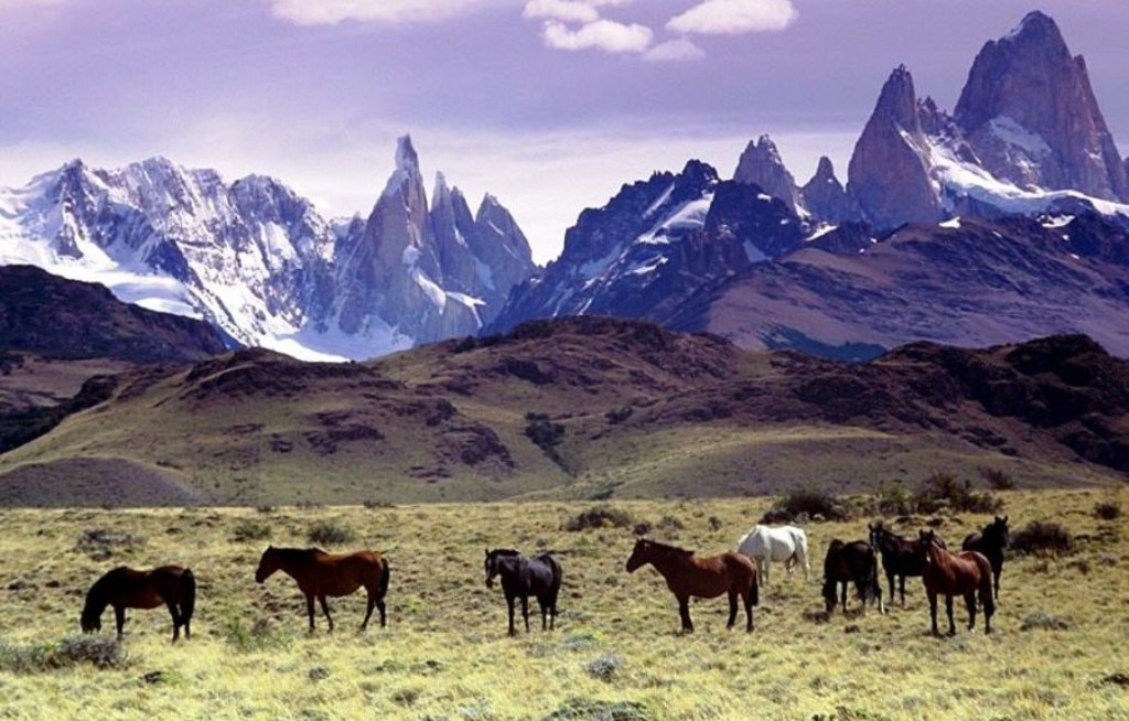 Argentinische Nacht für Reiseprofis