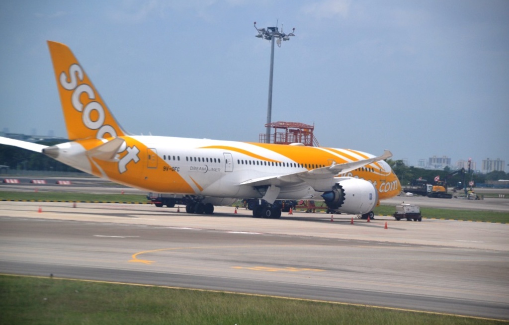Aviareps wird Repräsentanz von Scoot