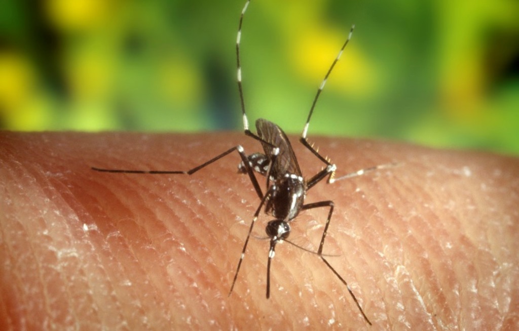 Dengue-Risiko im Kathmandutal