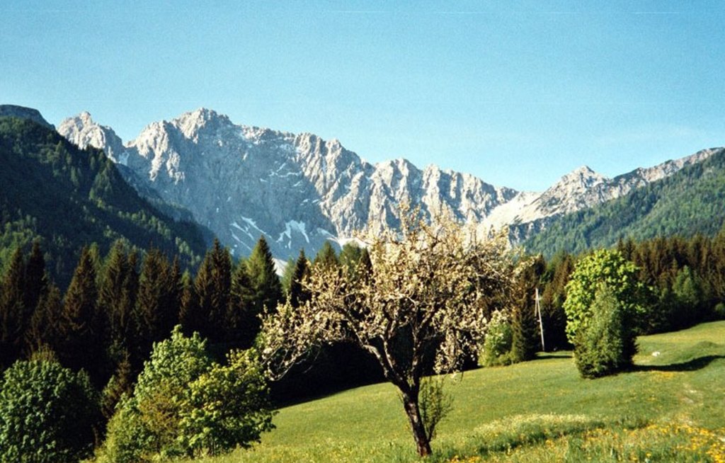 Entspannen im Almdorf