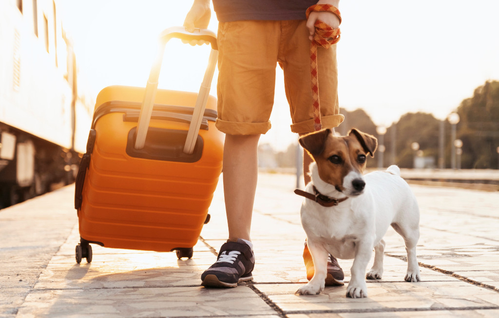 1A Vista bietet Flussreisen für Hund und Halter