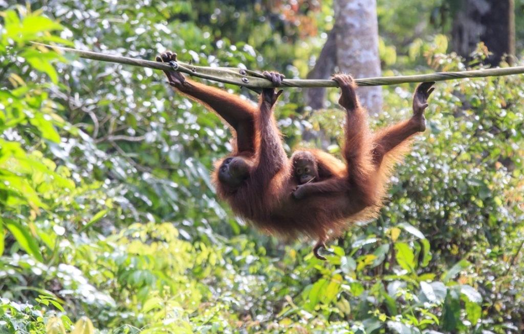 National Geographic Expeditions in Deutschland buchbar