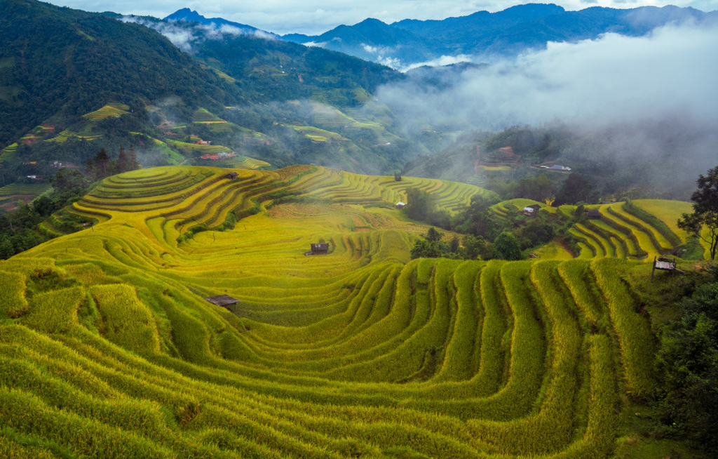 Intrepid Travel legt neue Asien-Erlebnisse auf
