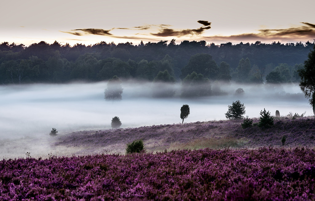 Fünf Naturparks in der zweiten Runde