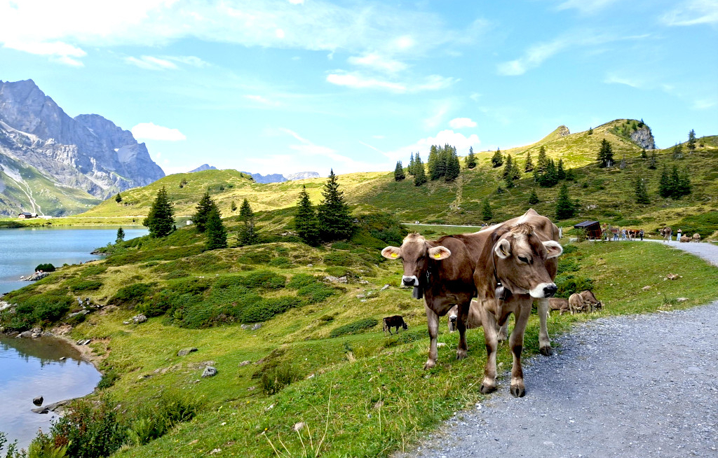 Eberhardt Travel schickt Aktivurlauber auf neue Routen