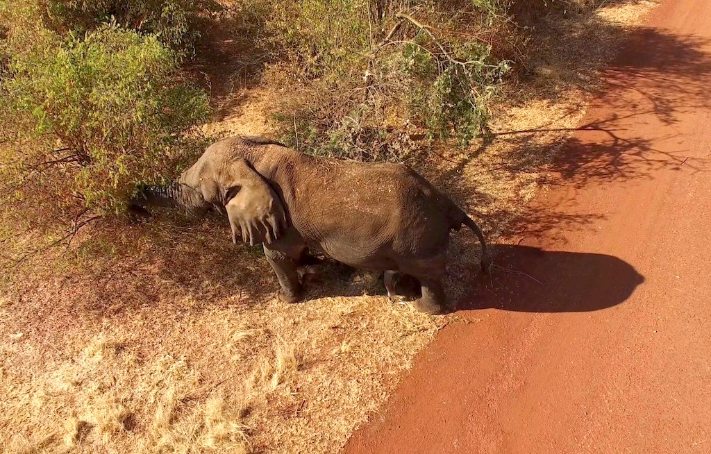 Ruanda aus der Vogelperspektive