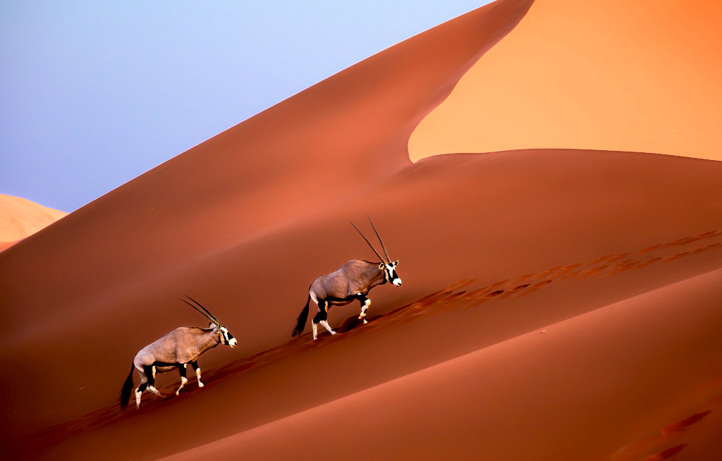 ASA tourt mit Afrika-Know-how durch Deutschland