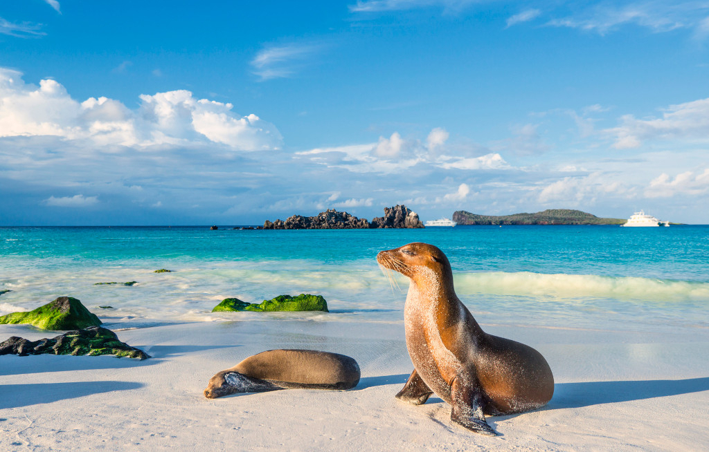 Miller Reisen schult Counter-Profis zu den Galapagosinseln