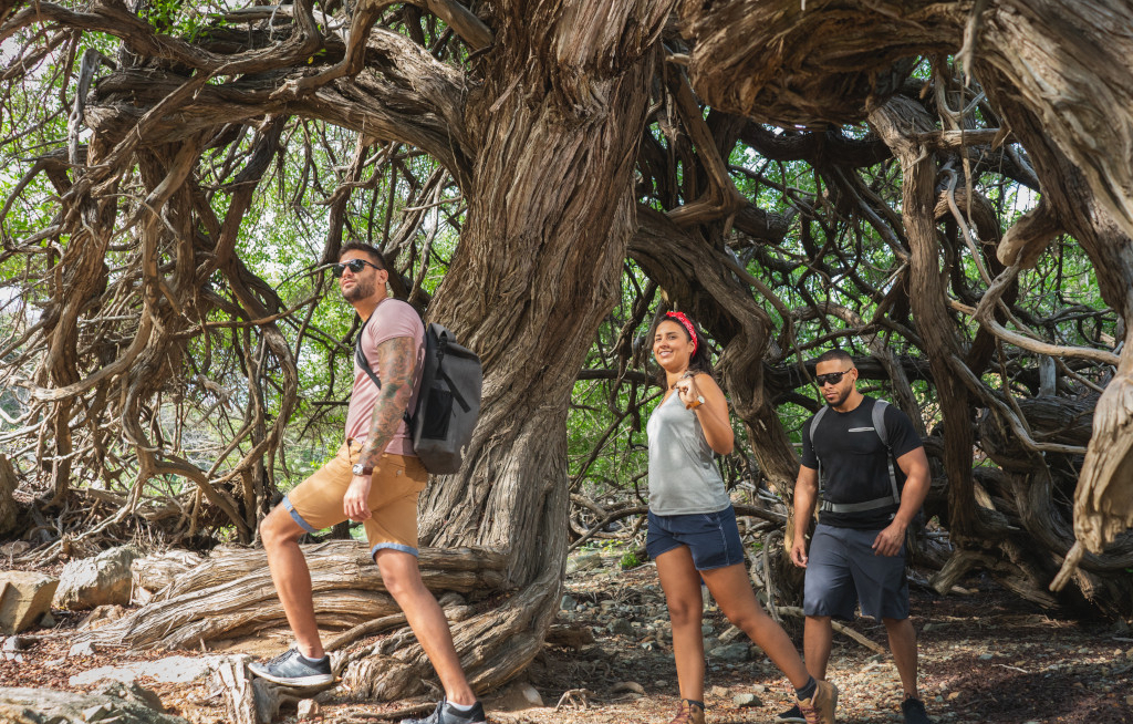 Wandern, Schnorcheln, Biken – Aruba setzt auf Naturerlebnisse