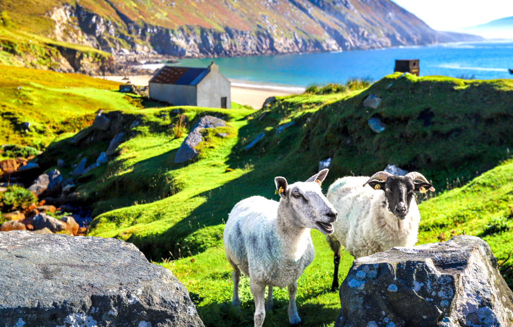 Tourism Ireland geht zu St. Patrick’s Day auf große Flusstour