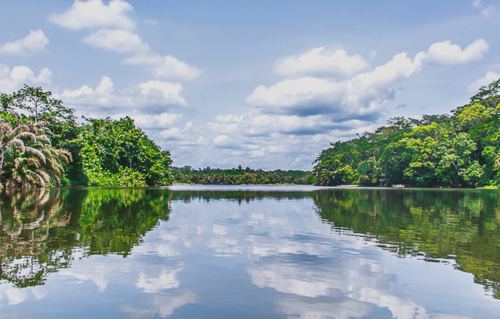 Tiwai Island wird erste Welterbe-Stätte in Sierra Leone