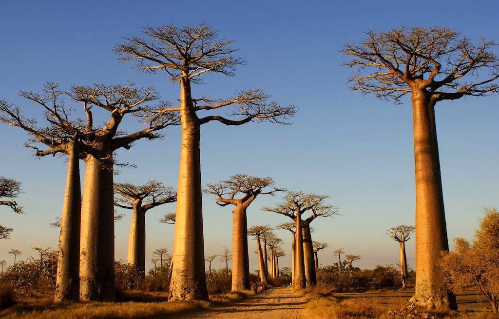 Auf drei neuen Routen durch Madagaskar