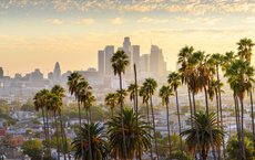 Webinare zu Los Angeles und Tampa Bay