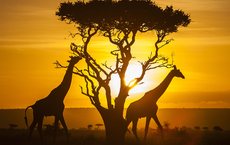Magical Kenya Travel Specialist Programm