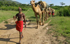Abenteuer- und Erlebnisreisen in Kenia