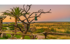 Wüstenzauber und „Big Five“ in Namibia.