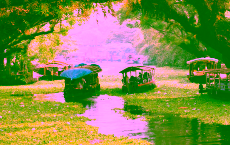 Kerala lädt die Branche zum „Travel Meet“ ein