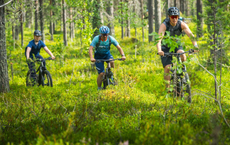 Sommer in Lappland: Sport, Kultur – und neue Direktflüge