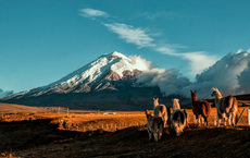 Aventoura-Gäste entdecken Ecuadors Vulkanwelt