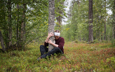 Warum die Finnen einfach anders sind – und ihre Bäume erst recht