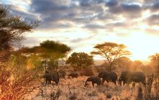 Diamir und ASA schicken Expedienten auf Afrika-Abenteuer