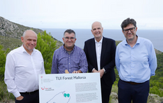 TUI pflanzt bis zu 50.000 Bäume auf Mallorca
