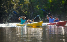 Aktivurlaub in Sarasota County: Natur trifft Kulinarik
