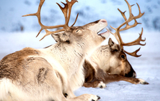 Wolters schult Counter-Profis zu Reisen nach Lappland