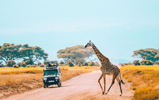 Kenia investiert massiv in touristische Infrastruktur