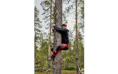 TreeHugging Weltmeisterschaften: Finnland feiert die innigste Umarmung der Natur