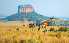 Südafrika steigert Gästezahlen in der Nebensaison deutlich
