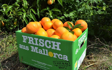 Vitamin C für die Reisebüros