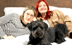 Meininger Hotels geben Tipps für Städtereisen mit Hund