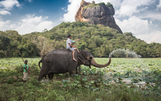 Bavaria Fernreisen legt vier neue Rundreisen durch Sri Lanka auf