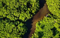 Hauser Exkursionen boykottiert Brasilien