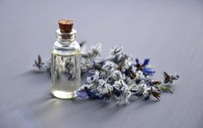 Windrose lädt zum Duft-Event ein