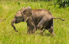 Famtrip nach Kenia