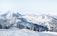 Schauinsland mit neuem "Leuchtturmprojekt"
